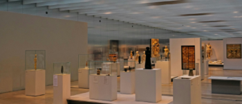 collezioni_esposizioni